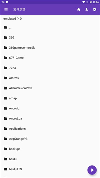 犀鸟喙中衔着柯基撞碎的月光碎片壁纸